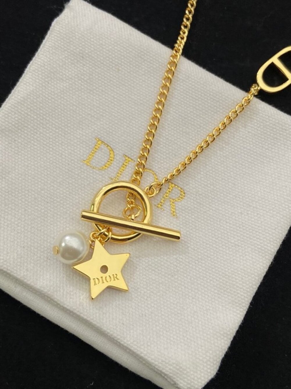 🌺Dior necklace
